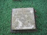 image of grave number 197248